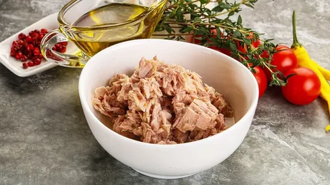 خرید تن ماهی با روغن آفتابگردان + قیمت فروش استثنایی